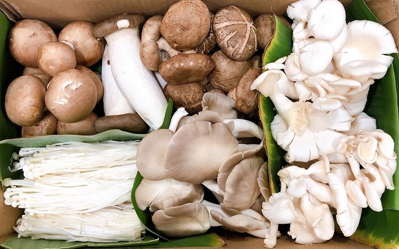 những thực phẩm không nên cho vào nồi nấu chậm - nấm