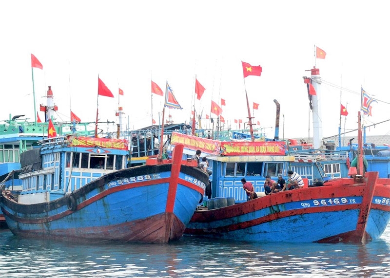 Nơi cư trú là gì hình 4