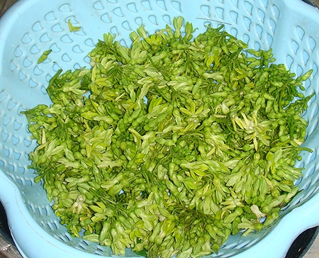 nộm hoa thiên lý bắp chuối (hình 3)