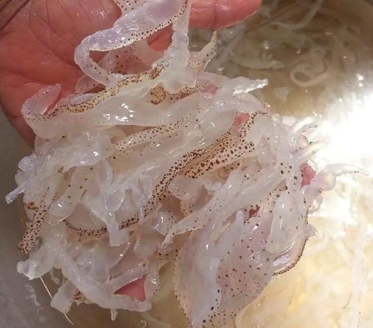 nộm sứa dưa chuột 2