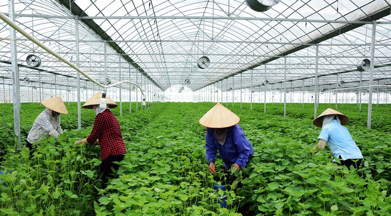 Nguyên tắc cơ bản của nông nghiệp tuần hoàn