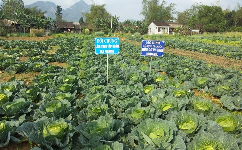 su dung phan huu co trong nong nghiep xanh