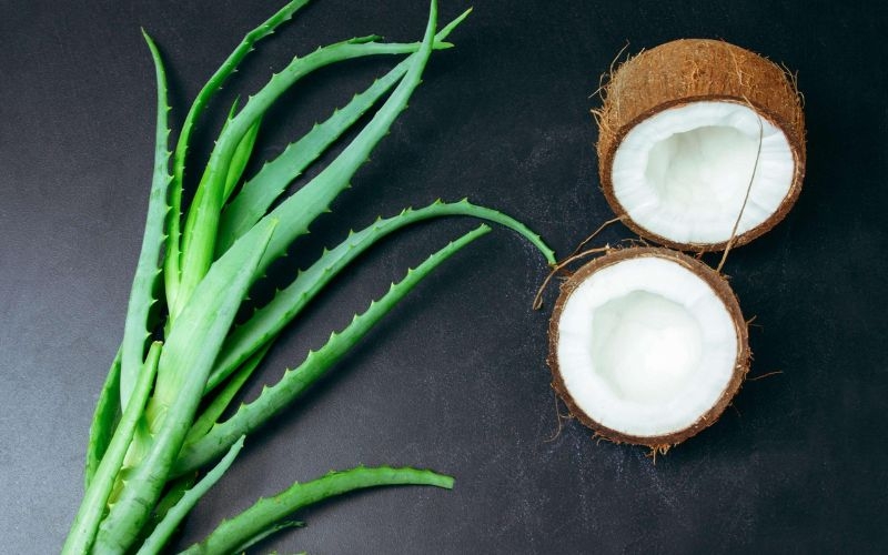 Nguyên liệu làm nước dừa nha đam
