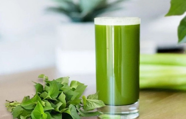 Nước ép diếp cá khổ qua (Hình 5)