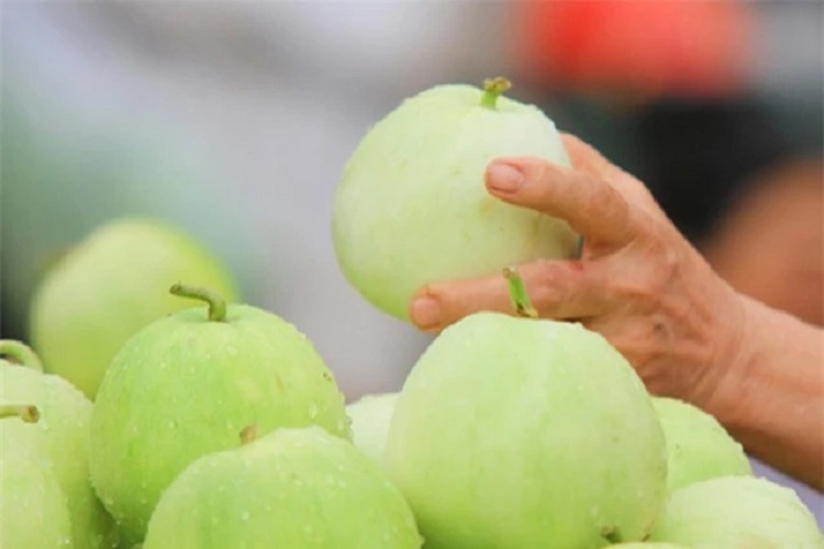 Nước ép dưa lê (Hình 3)