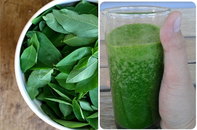 Nước ép rau ngót (Hình 3)