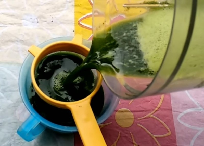 nước ép rau ngót chanh gừng 4