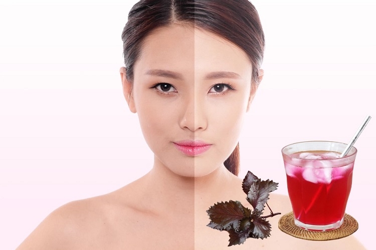 Nước lá tía tô (Hình 4)