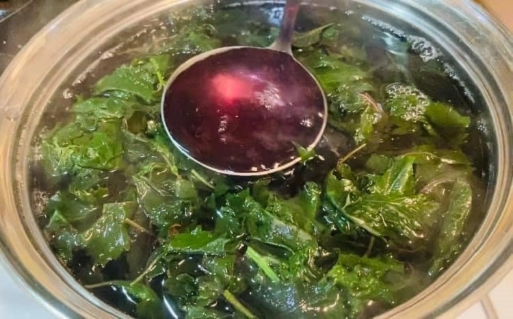 Nước lá tía tô (Hình 6)