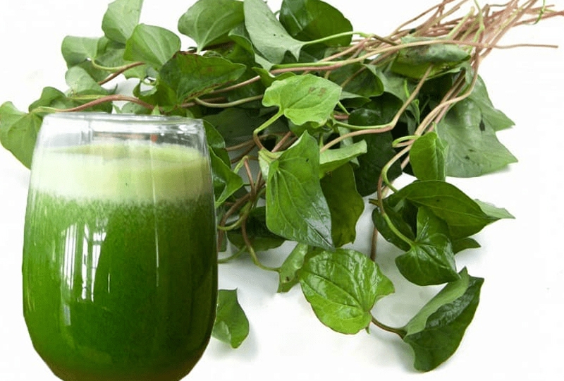 Nước ép trị mụn nội tiết - Nước ép diếp cá.