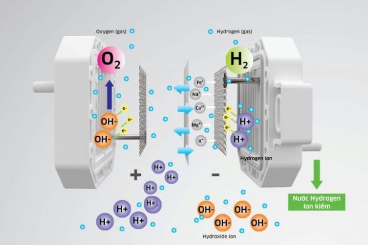 Nươc ion kiềm đóng chai có tốt không ảnh 3