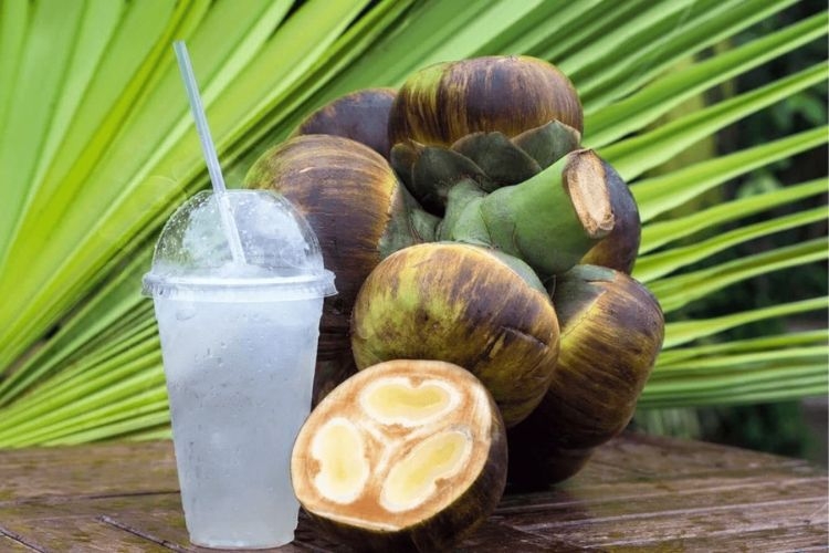 Nước thốt nốt​ có tác dụng gì? Cách làm nước thốt nốt đơn giản, giúp giải nhiệt mùa hè hiệu quả