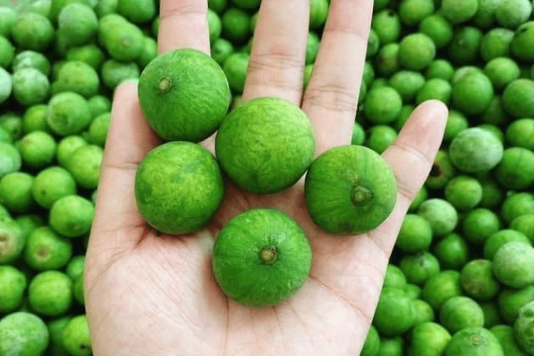 Ô mai sấu bao tử hình 3