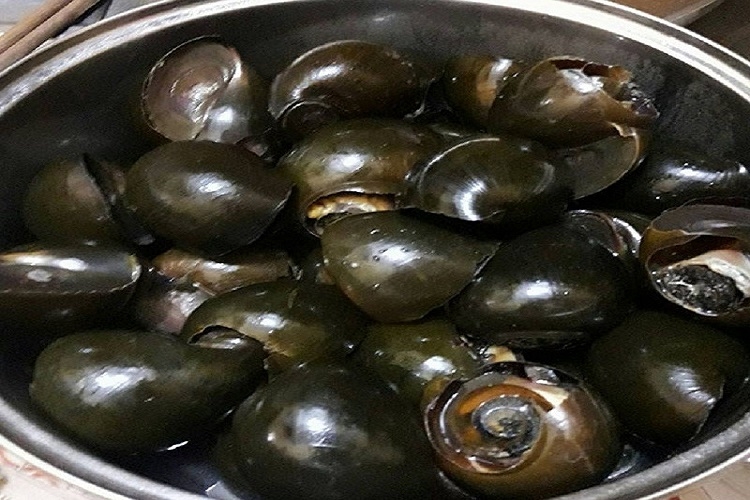 Ốc bươu nấu mẻ (Hình 3)