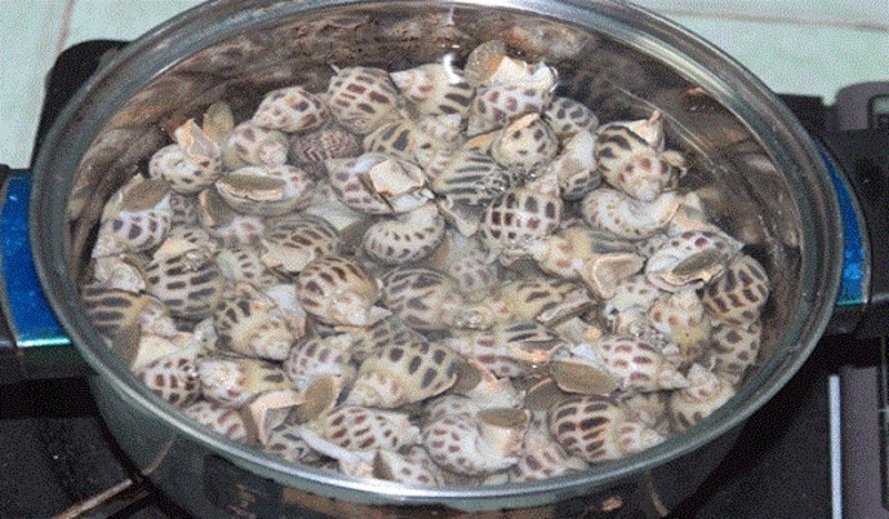 Ốc hương nướng 5