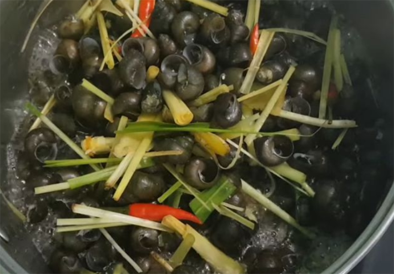 Cách làm ốc mít hấp cay (hình 6)