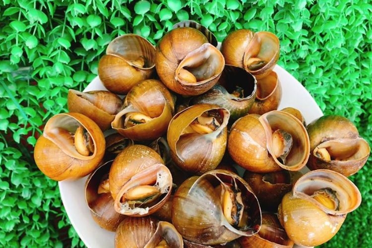 ốc mít xào me