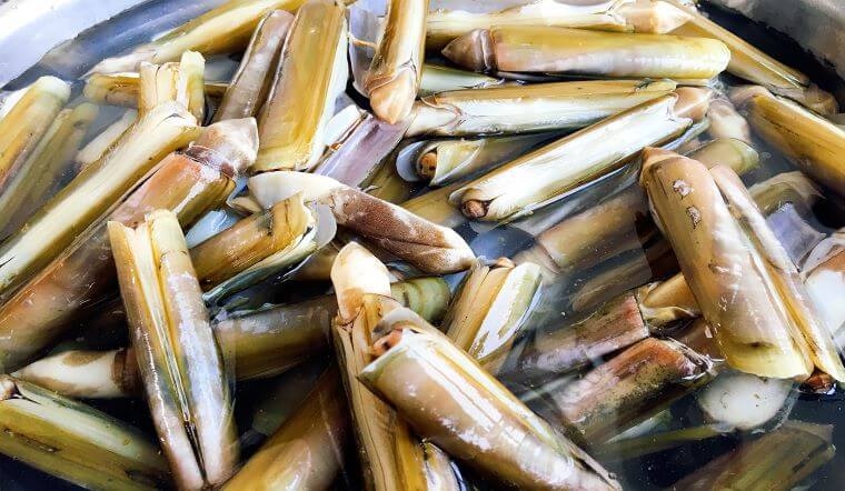 ốc móng tay chiên giòn (hình 2)