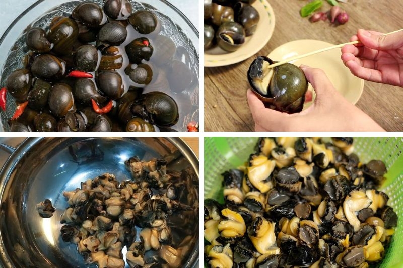 Ốc nấu mẻ lá lốt tía tô ảnh 2