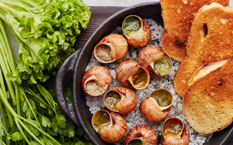Giá trị dinh dưỡng của ốc sên Escargot