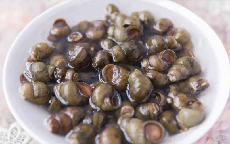 Ngâm ốc sên với muối loãng