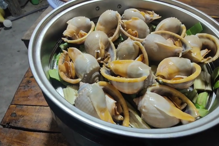 ốc tỏi nướng nước mắm hình 4