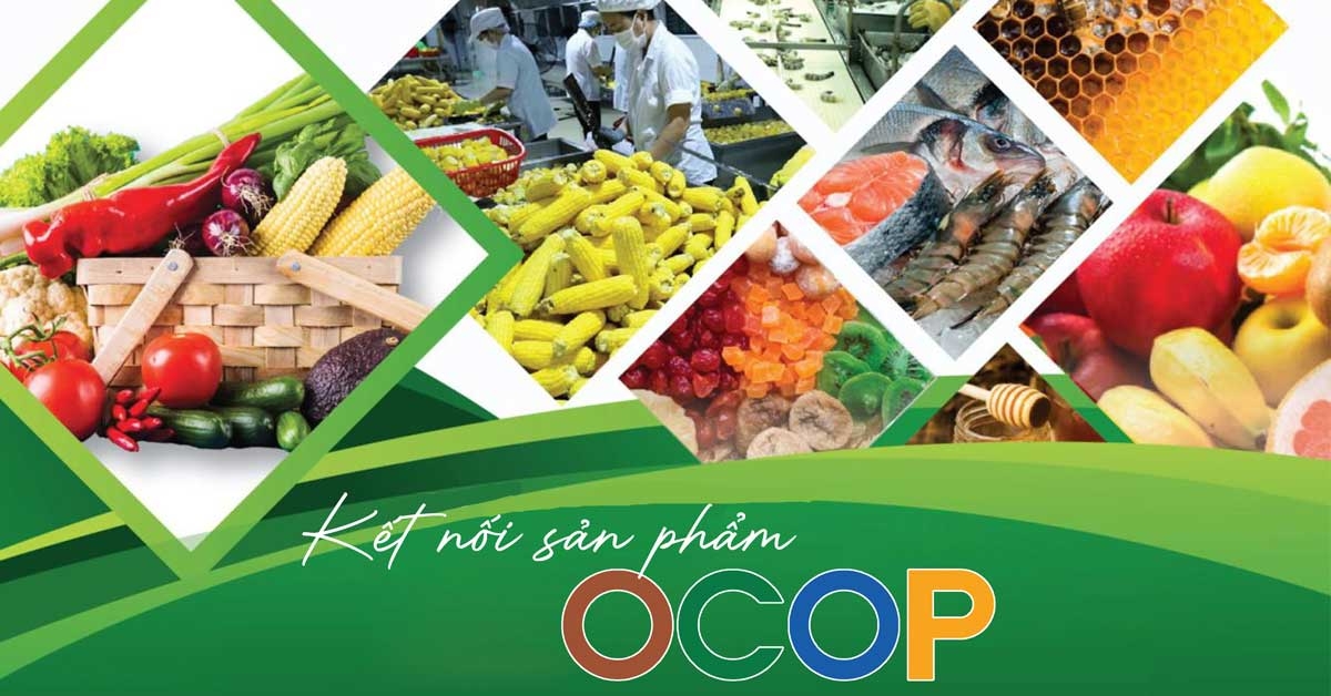 Sản phẩm OCOP là gì? Làm thế nào để được công nhận và phát triển bền vững
