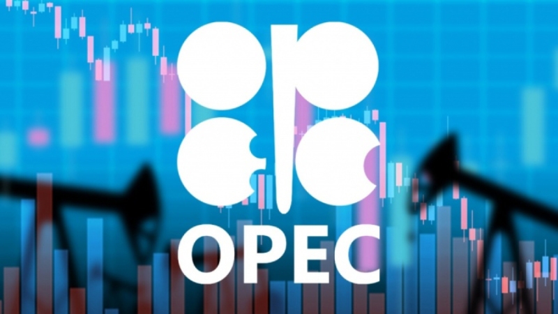 Cơ cấu tổ chức của OPEC