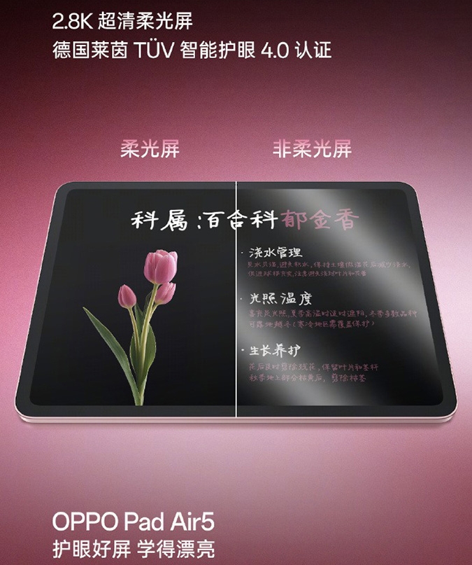 oppo-pad-air-5-ra-mat-196687-5.jpg