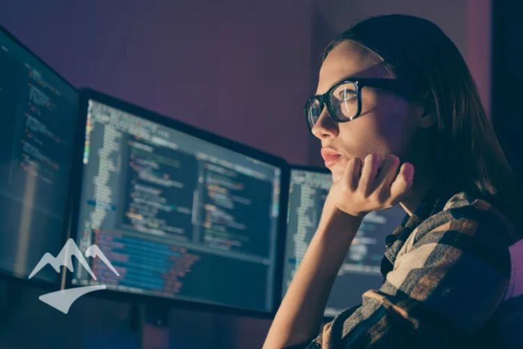 owasp-la-gi