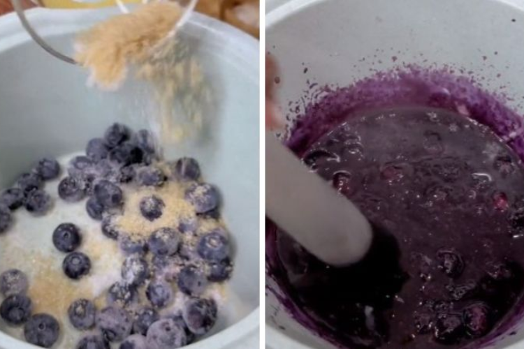 panna cotta việt quất 4