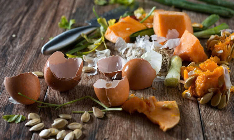 Phân loại rác (hình 4)