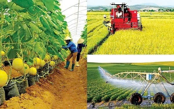phép thử là gì ảnh 6
