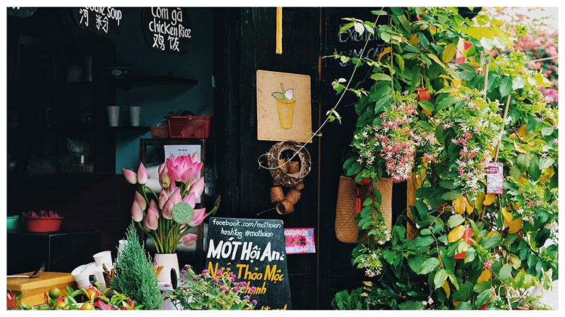 Phố cổ Hội An hình 3