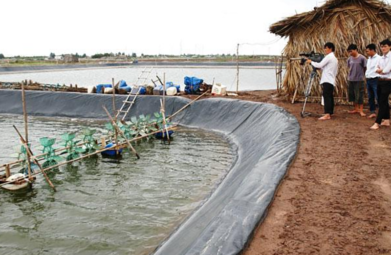 Phường Hòa Thành của Cà Mau (hình 2)