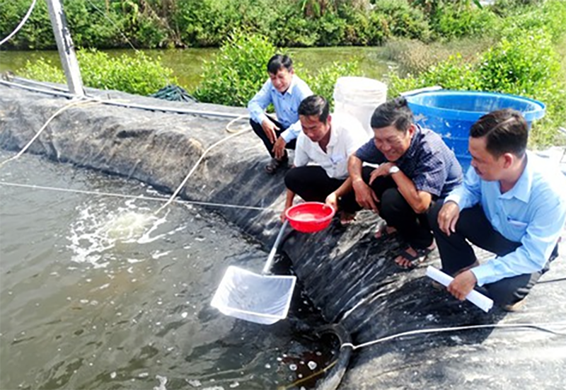 Phường Hòa Thành của Cà Mau (hình 3)