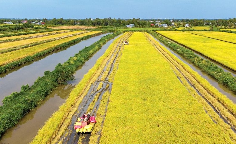 Phường Lý Văn Lâm của Cà Mau 1