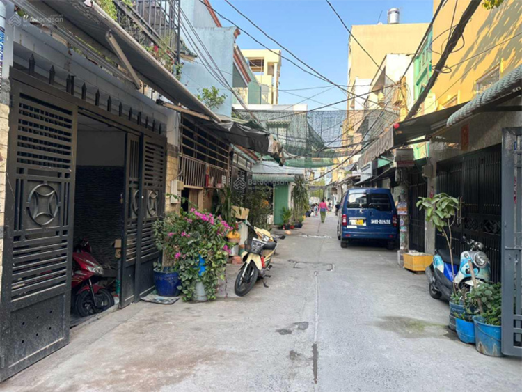 phuong-phu-dinh-cua-tp-hcm-2.png