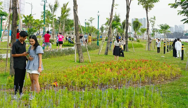 phuong-phu-dinh-cua-tp-hcm-5.png