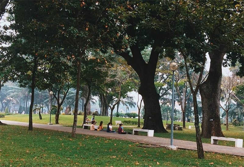 phuong-phu-nhuan-cua-tp-hcm-4.png