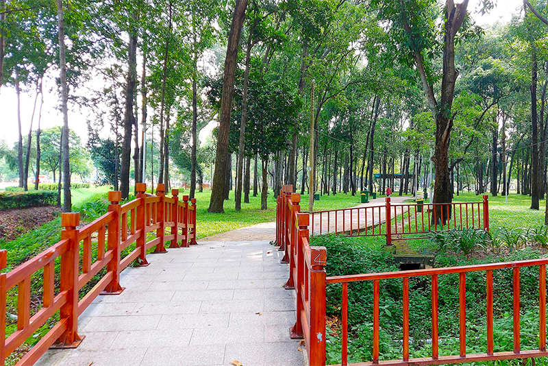 phuong-phu-nhuan-cua-tp-hcm-8.png