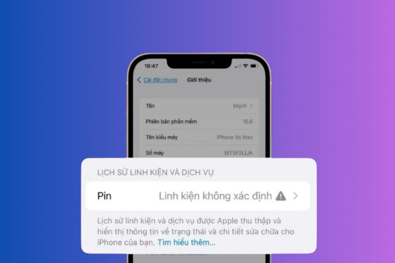 Pin dịch vụ iPhone là gì - hình 2