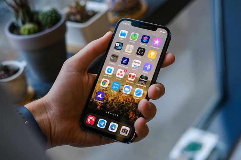 Pin iPhone có thay được không? - hình 5