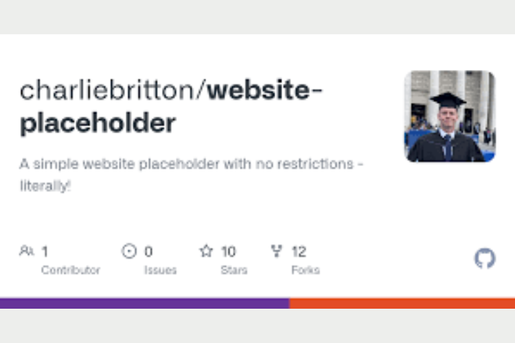 placeholder là gì 2
