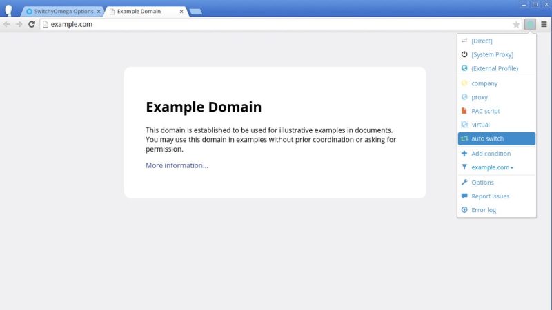 Proxy Extension - hình 6