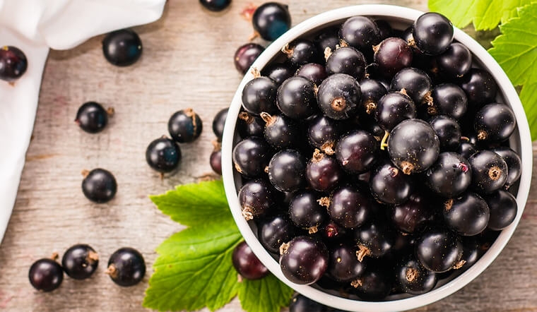 quả acai 1