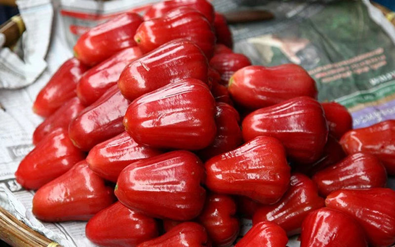 Quả roi tiếng Anh là gì 1