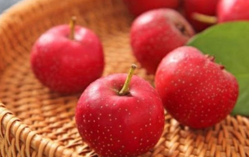 quả sơn trà (hình 3)