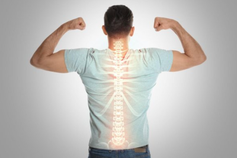 quả sơn trà (hình 8)