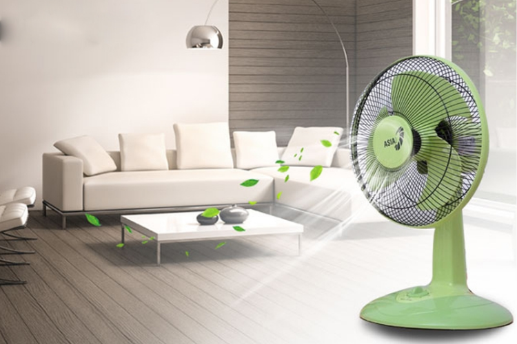 quạt asia loại nào tốt 2